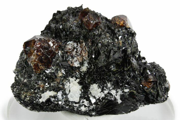 Fluorescent Zircon Crystals in Biotite Schist - Norway #351539